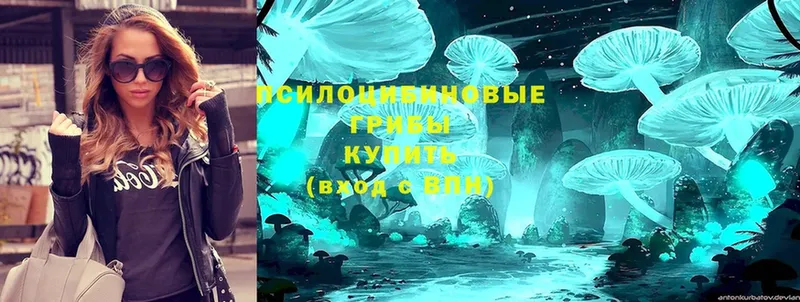 Псилоцибиновые грибы Magic Shrooms  как найти   Волгодонск 